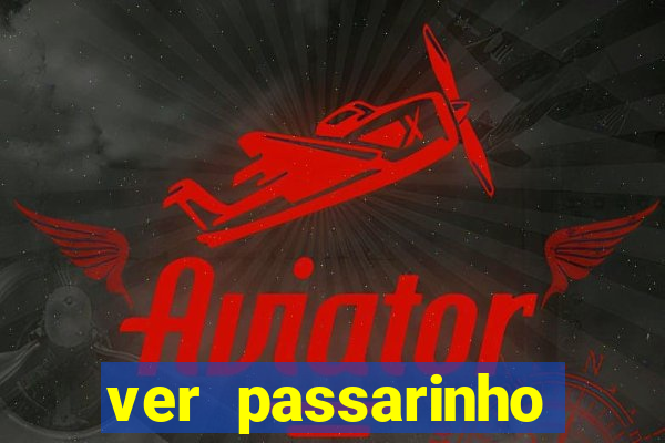 ver passarinho morto significado